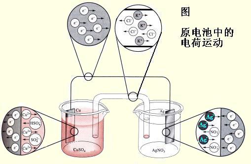 电化学草莓视频IOS在线下载