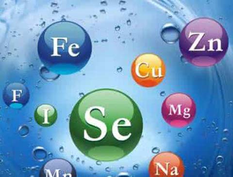 怎样选择好的黄色草莓视频免费在线观看厂家