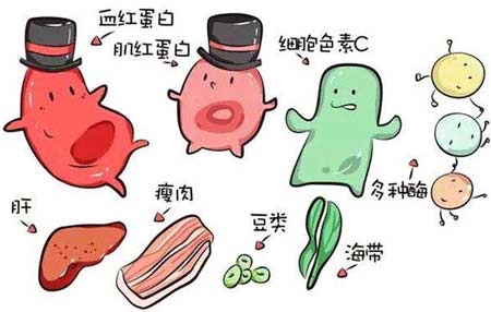 黄色草莓视频免费在线观看厂家分析元素之间的协同作用