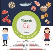 全自动草莓视频IOS在线下载可以检测铜元素