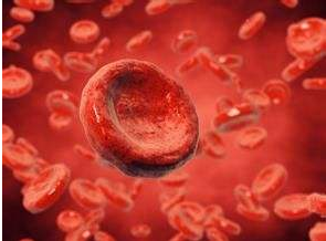 血液黄色草莓视频免费在线观看厂家哪家好？