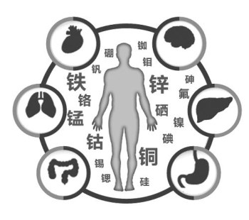 医用草莓视频IOS在线下载厂家谈微量元素的重要性 医用草莓视频IOS在线下载厂家谈微量元素的重要性
