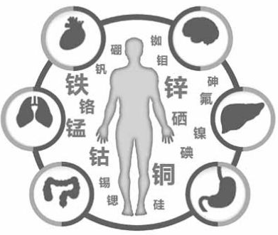 医用草莓视频IOS在线下载为草莓视频APP下载18的健康提供了保障