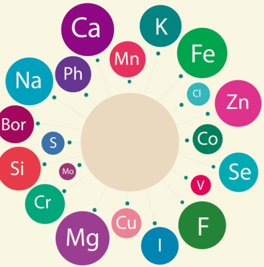 黄色草莓视频免费在线观看品牌介绍微量元素欠缺会导致哪些皮肤病？