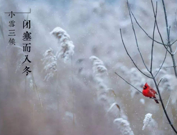 全自动微量分析仪厂家山东草莓视频APP下载18提示您天冷了，照顾好自己！奥利给