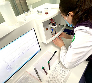 豪华推车黄色草莓视频免费在线观看