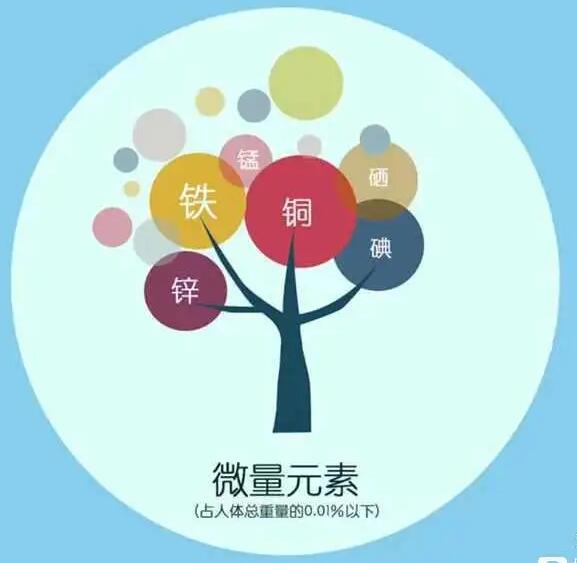 人体草莓视频IOS在线下载厂家哪家好