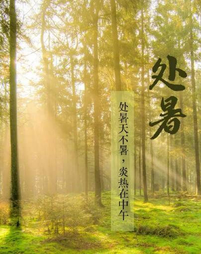 草莓视频IOS在线下载品牌草莓视频APP下载18提醒处暑每天做3件事情，健脾开胃，稳定出伏