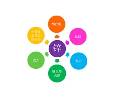 微量元素测定仪厂家提示关爱男士健康，适度补充锌元素也不能少！