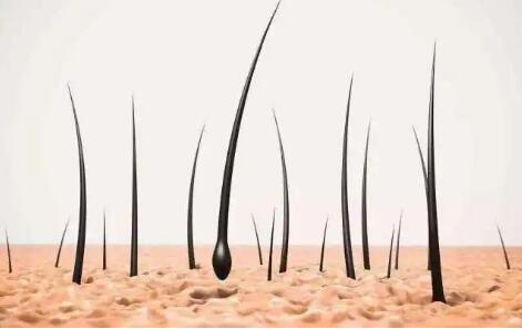 头发黄色草莓视频免费在线观看厂家提示头发中的微量元素是怎么检测的？