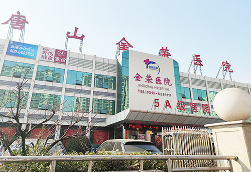 全自动草莓视频IOS在线下载厂家